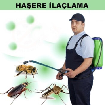 Ahmetli Böcek İlaçlama
